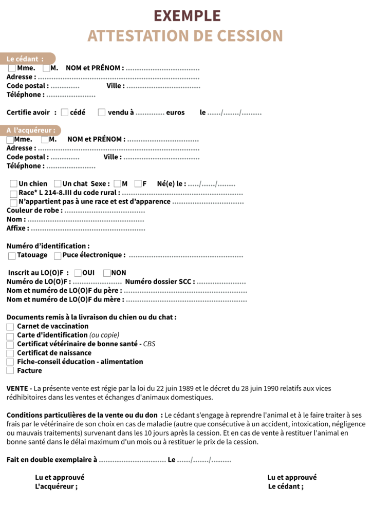 adoption chiot chaton certificat cession