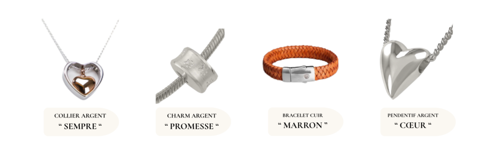 Se souvenir de nos compagnons en cette période de Toussaint