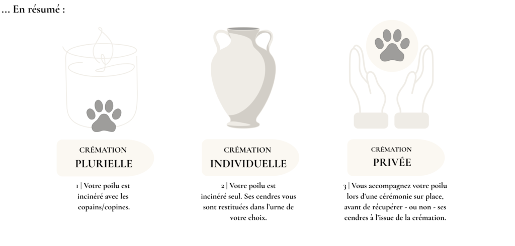 Se souvenir de nos compagnons en cette période de Toussaint