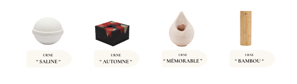 Se souvenir de nos compagnons en cette période de Toussaint