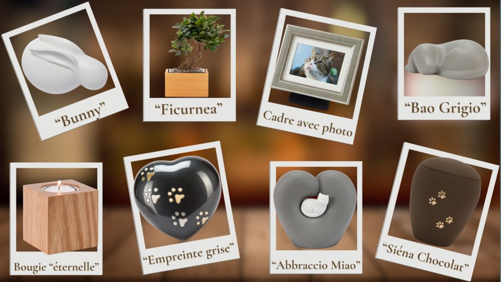 Se souvenir de nos compagnons en cette période de Toussaint