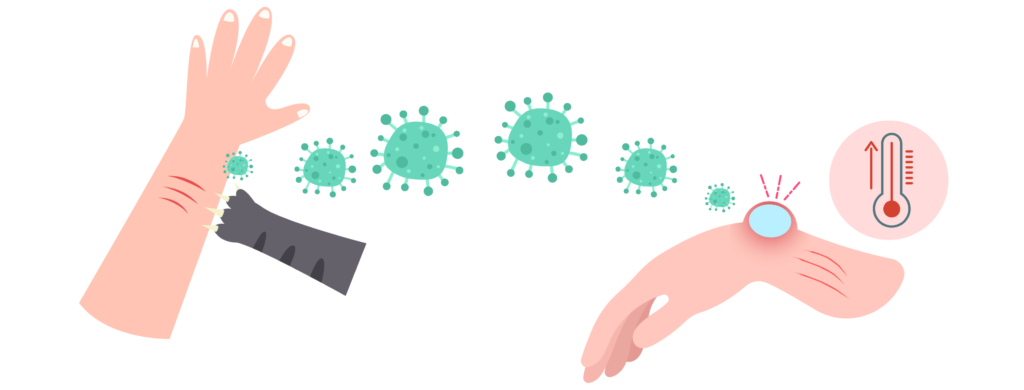 Prendre soin des griffes de votre animal