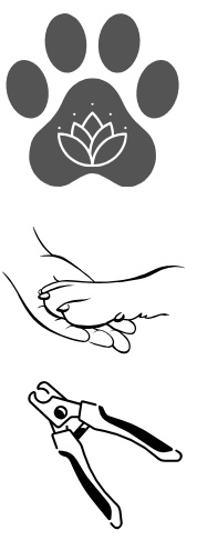 Prendre soin des griffes de votre animal