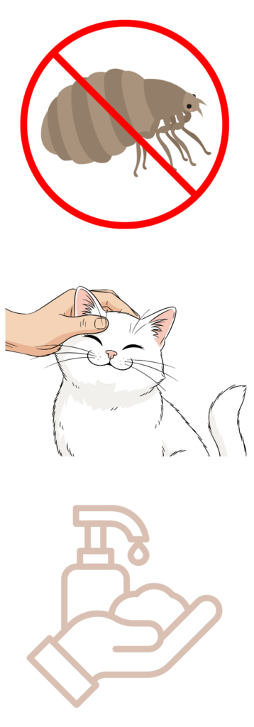 Prendre soin des griffes de votre animal